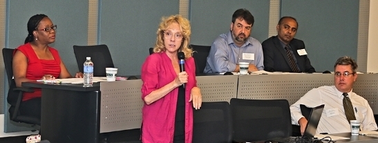 A woman lecturing a group of professionals.